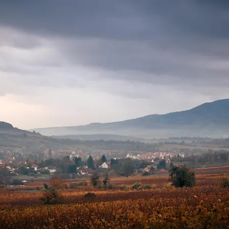 Le Rosenmeer - Restaurant, Au Coeur De La Route Des Vins D'alsace Hotell 3*