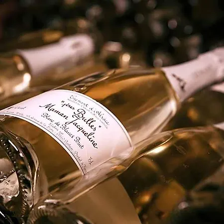 Le Rosenmeer - Restaurant, Au Coeur De La Route Des Vins D'alsace Hotel 3*