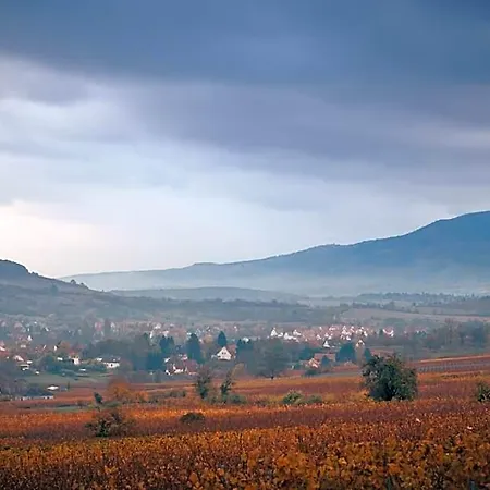 Le Rosenmeer - Restaurant, Au Coeur De La Route Des Vins D'alsace Hotel Rosheim