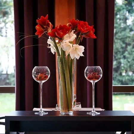 Le Rosenmeer - Restaurant, Au Coeur De La Route Des Vins D'alsace 3*