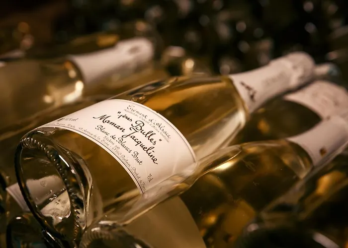 Szálloda Le Rosenmeer - Restaurant, Au Coeur De La Route Des Vins D'alsace 3*