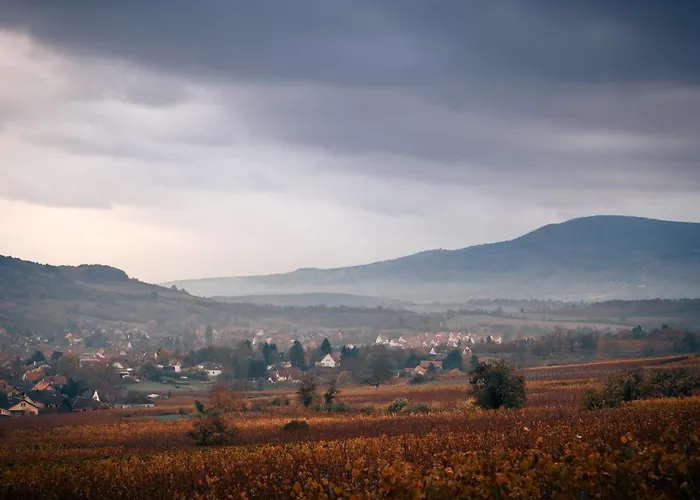 Le Rosenmeer - Restaurant, Au Coeur De La Route Des Vins D'alsace Szálloda 3*