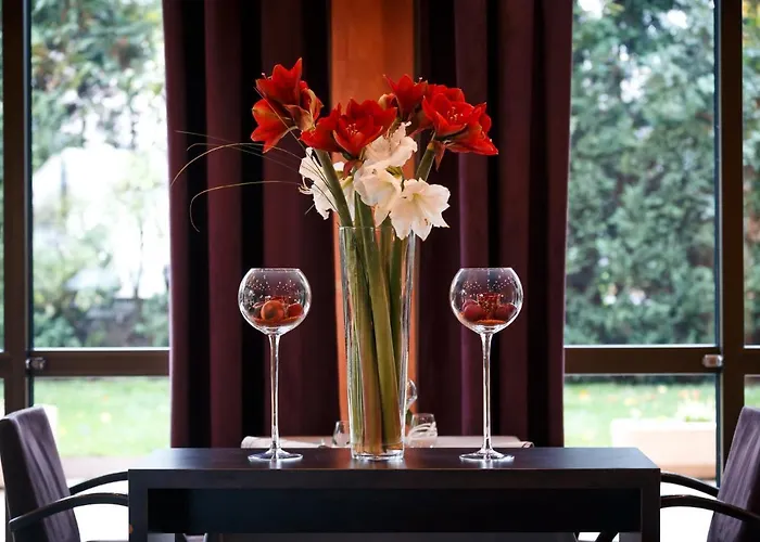 Le Rosenmeer - Restaurant, Au Coeur De La Route Des Vins D'alsace 3*